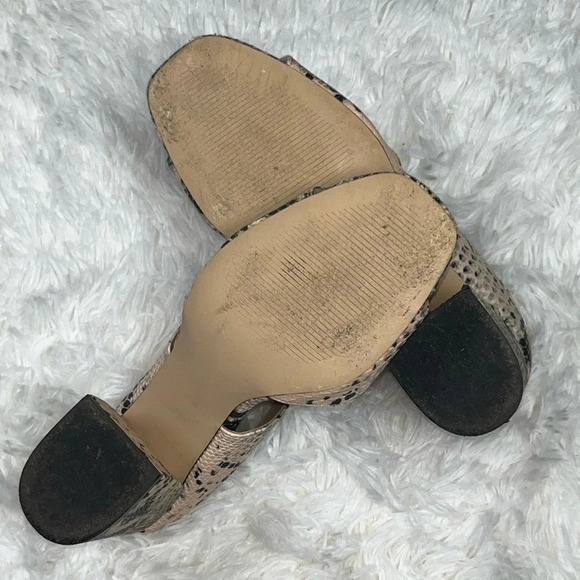 Madden Girl | Snake Print Chunky Heels - Picture 14 of 14